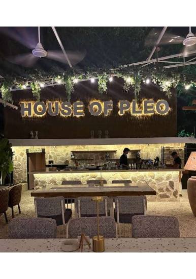 House Of Pleo - View 2