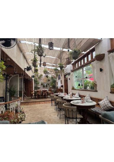 My, Oh My   Live Kitchen & Bar - View 4