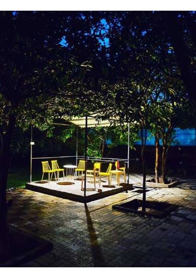Mimosa - view 5